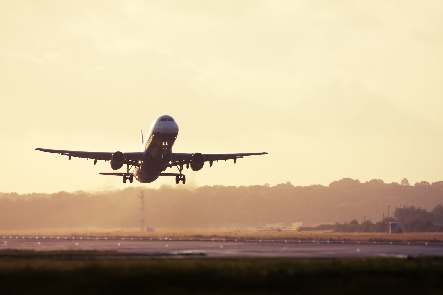 Travel portal product screenshot