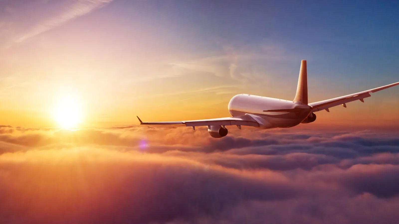 Travel portal product screenshot